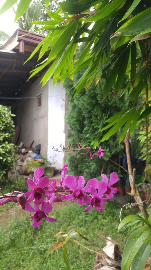 Ananda Home Stay And Restaurant Тангале Екстериор снимка