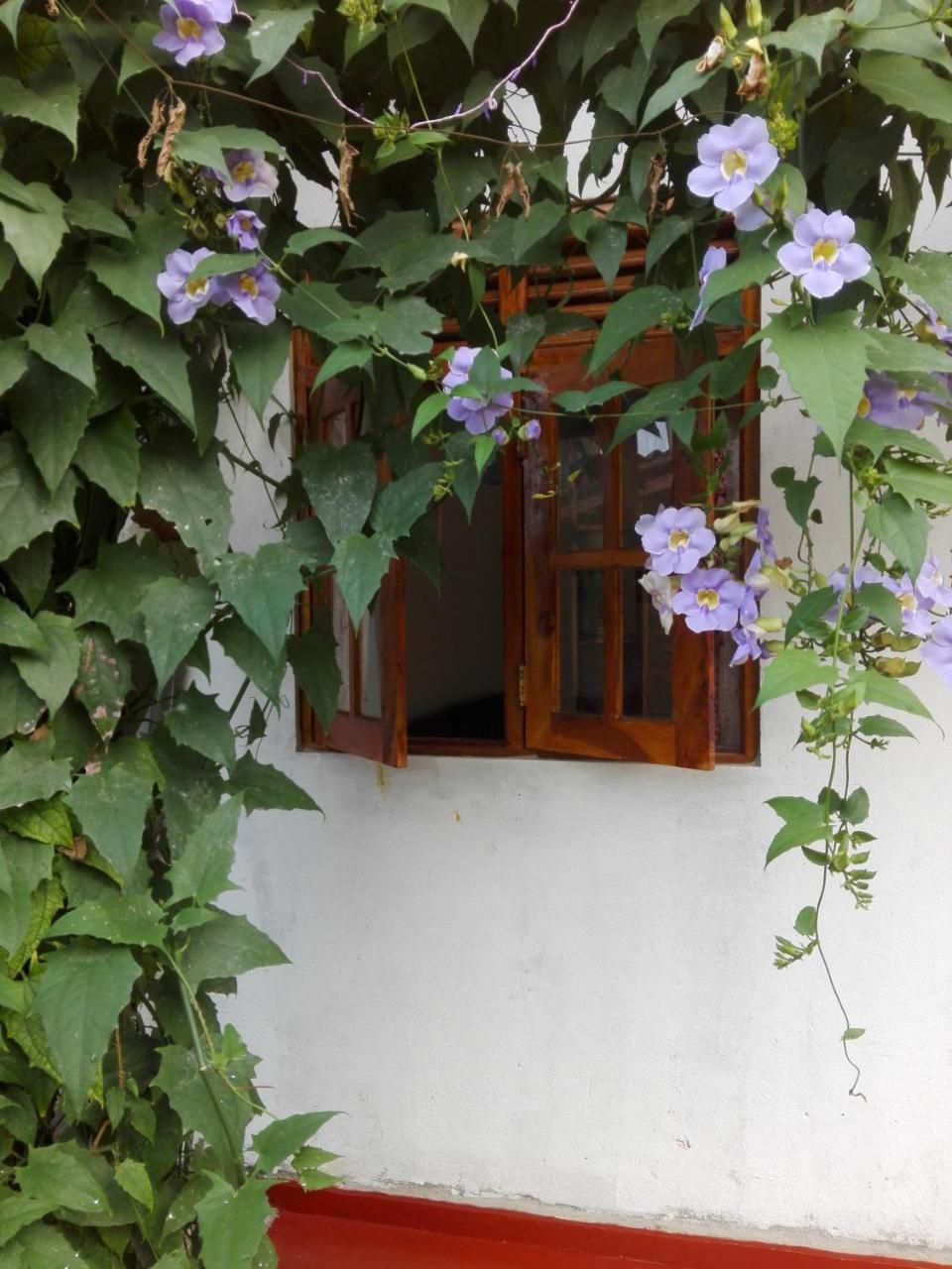 Ananda Home Stay And Restaurant Тангале Екстериор снимка